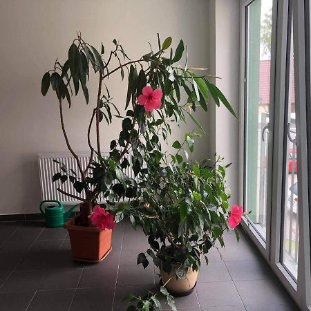 Apartman Na Lukach - Kopretina เชบอนย์ ภายนอก รูปภาพ