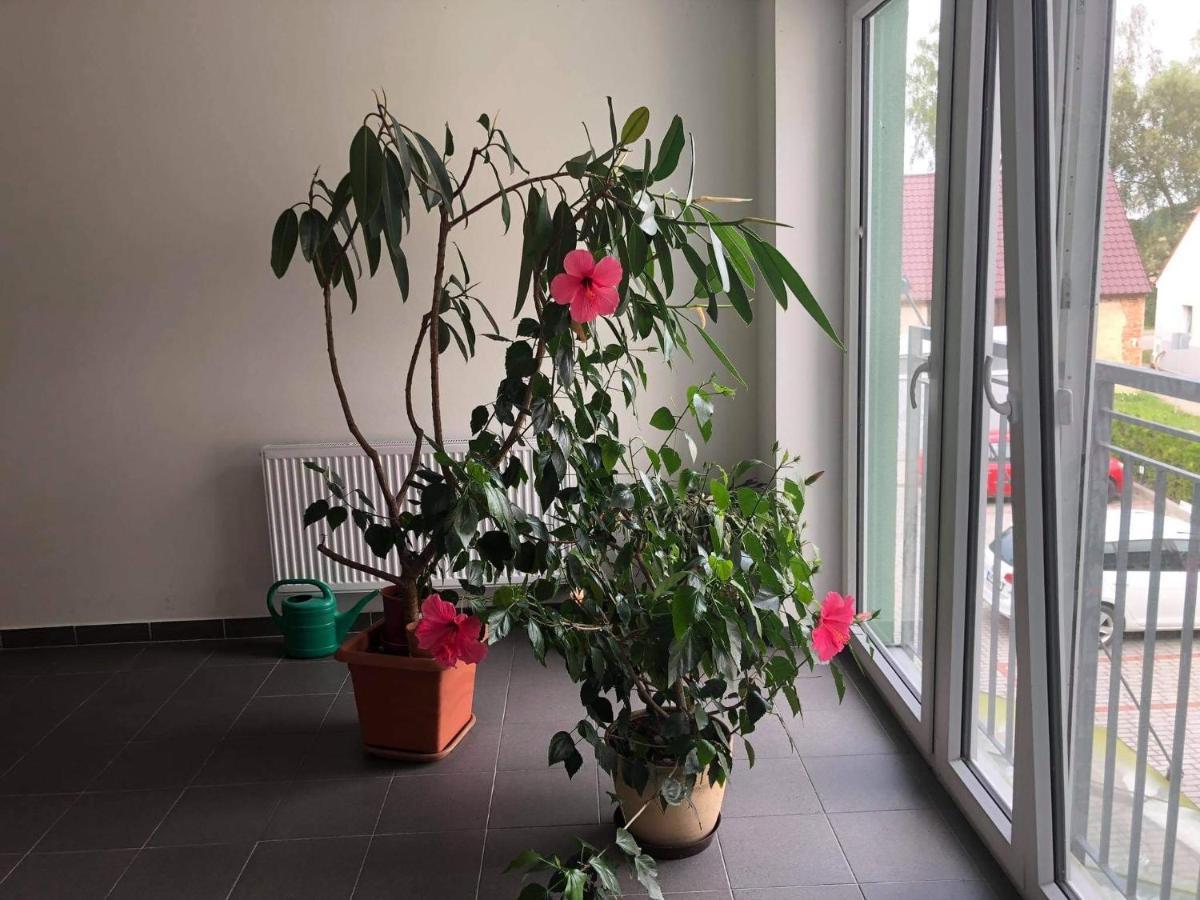 Apartman Na Lukach - Kopretina เชบอนย์ ภายนอก รูปภาพ